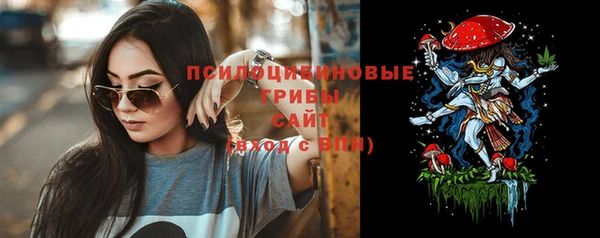 не бодяженный Гусев