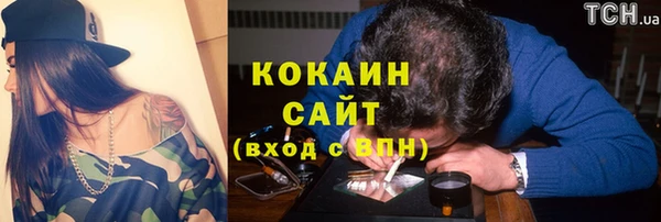молекула духа Гусиноозёрск