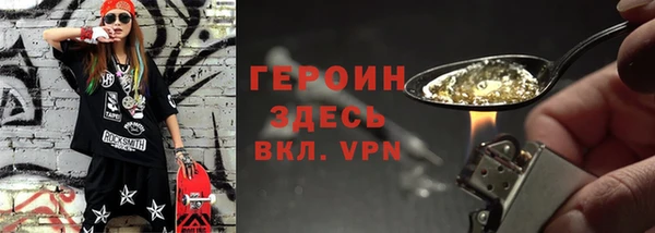 гашик Няндома