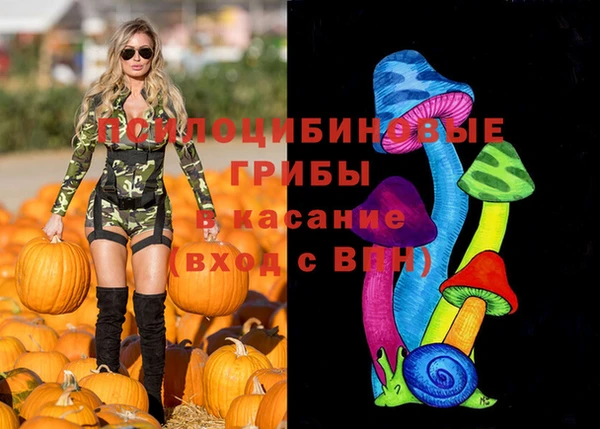 не бодяженный Гусев