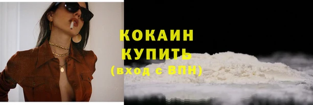 не бодяженный Гусев