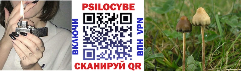Галлюциногенные грибы MAGIC MUSHROOMS  купить закладку  Сенгилей 